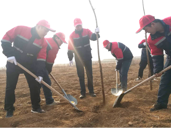 河北通慧熱力有限公司參加植樹活動(dòng)455.png